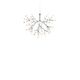 Heracleum Small Suspended