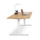 Horreds Nomono T Work Desk